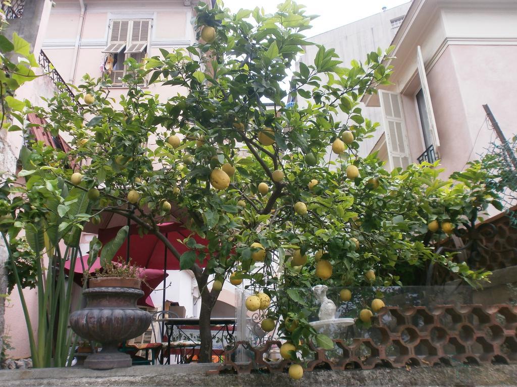 نيس Villa Saphir المظهر الخارجي الصورة